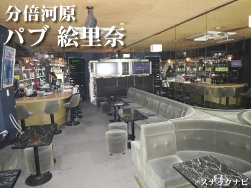 パブ絵里奈(分倍河原) パブ絵里奈(分倍河原)
