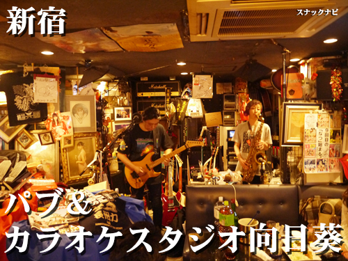 パブ&カラオケスタジオ向日葵(新宿)
